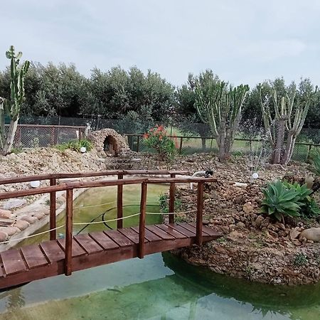 קאסטלמארה דל גולפו Villa Michelangelo מראה חיצוני תמונה
